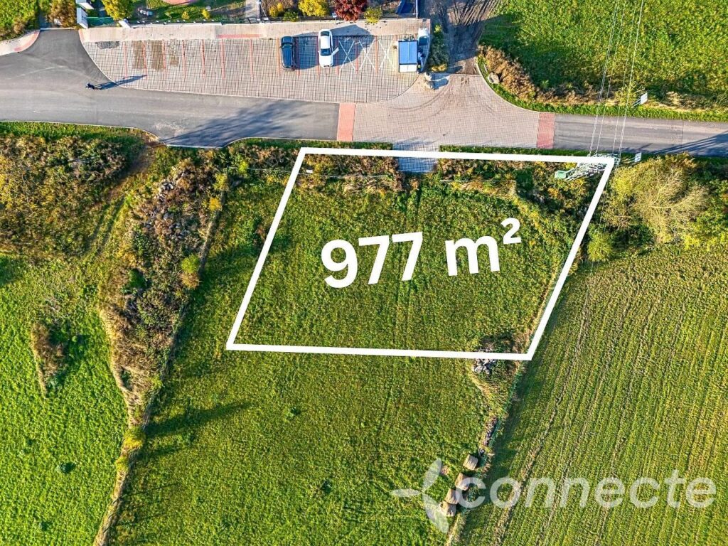 Svojetice (3)
